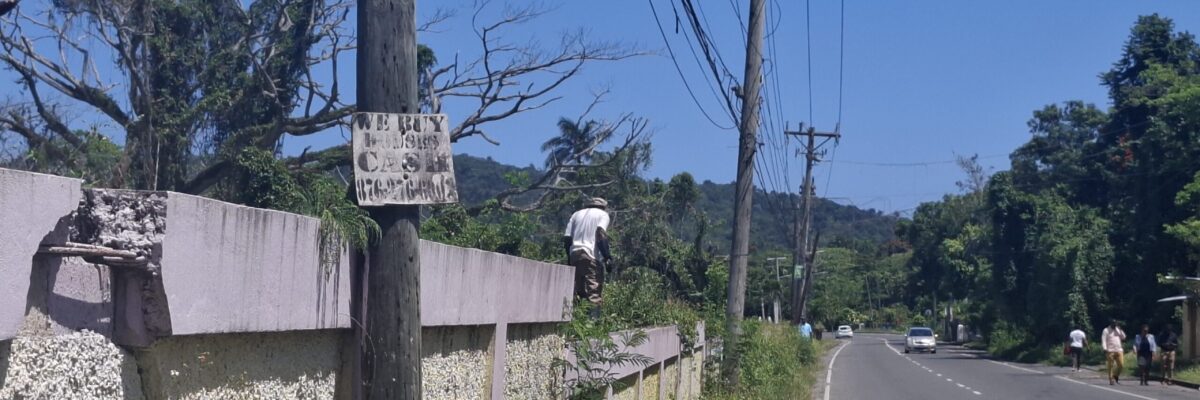 St Mary Municipal Corporation partners with Department of Correctional Services for debushing of Port Maria cemetery
