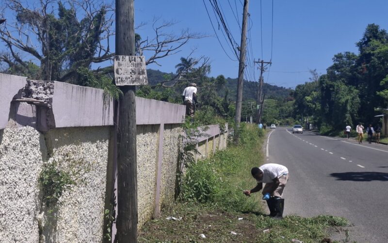 St Mary Municipal Corporation partners with Department of Correctional Services for debushing of Port Maria cemetery