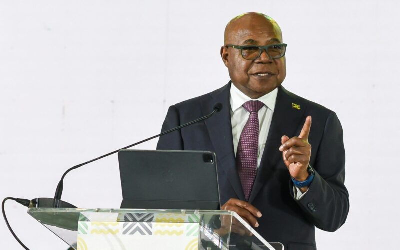 Tourism Minister wants Jamaican Diaspora to support efforts to strengthen the island’s tourism resilience