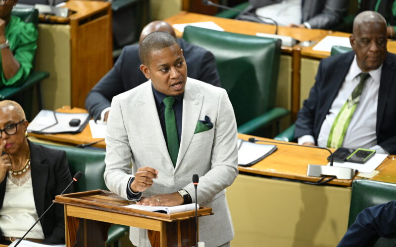 Gov’t allocates $800M towards construction of 95 greenhouses across 4 parishes before year end