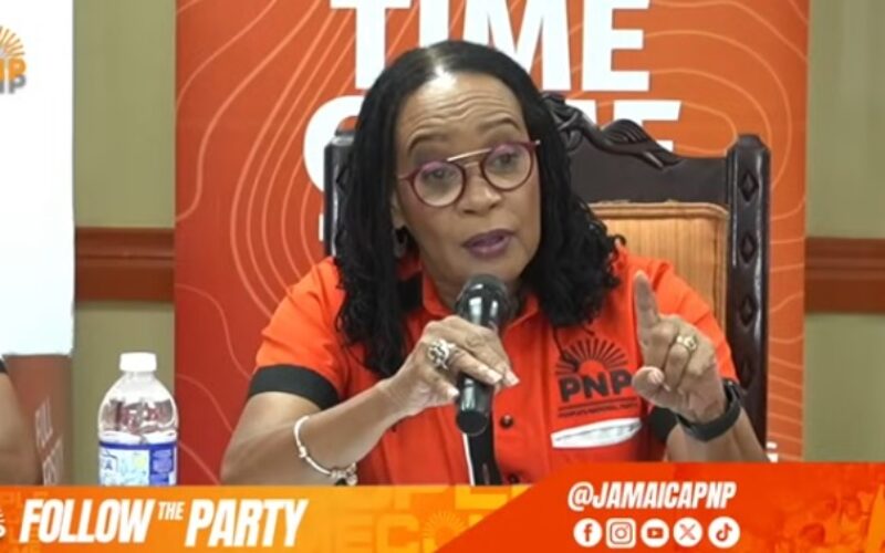 PNP deeply concerned following reports of alleged vote buying & voter suppression