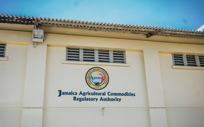 Coffee farmers impacted by Hurricane Melissa get boost with donation of fertilizer by JACRA