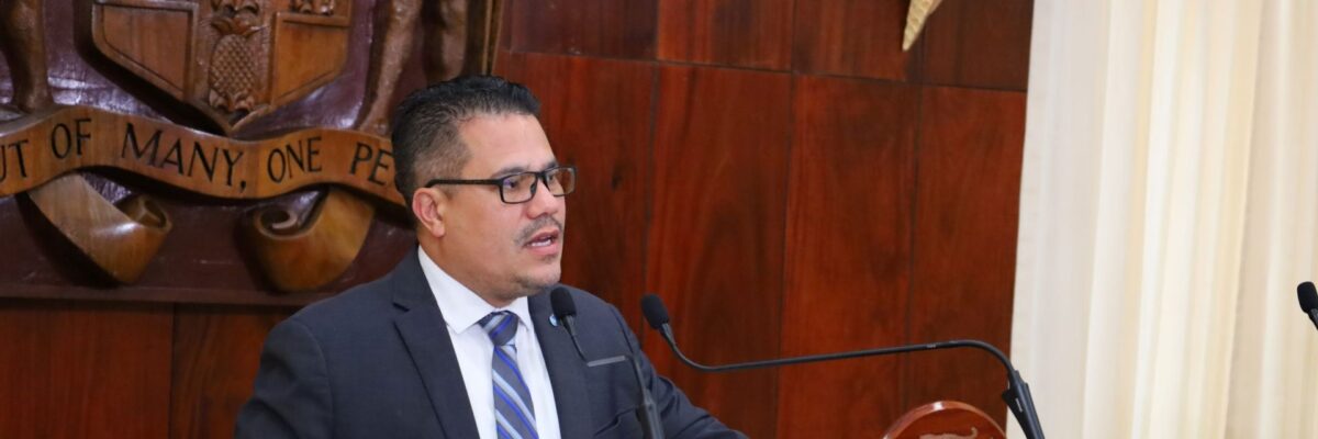 Environment and Climate Change Minister, Matthew Samuda expresses concern over climate adaptation funding in Jamaica