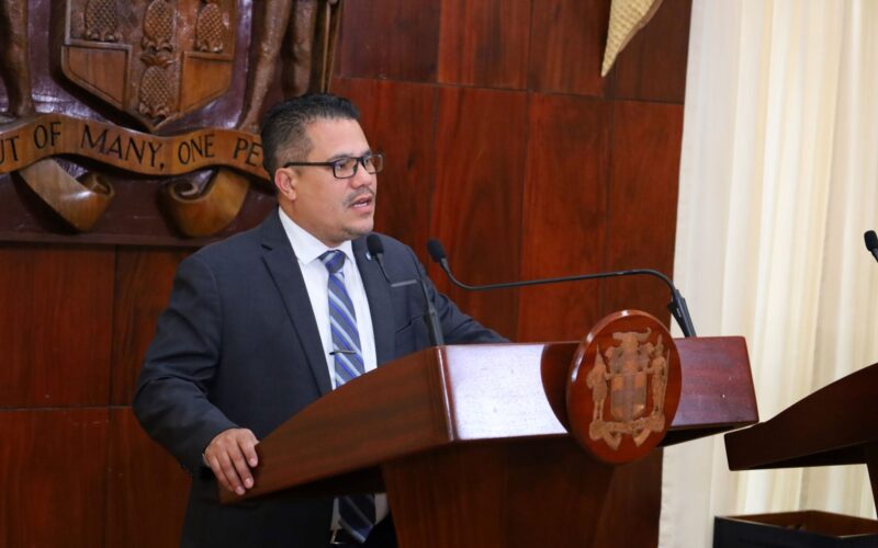 Schedule appointments to reduce wait time when engaging with NWC for amnesty – Samuda