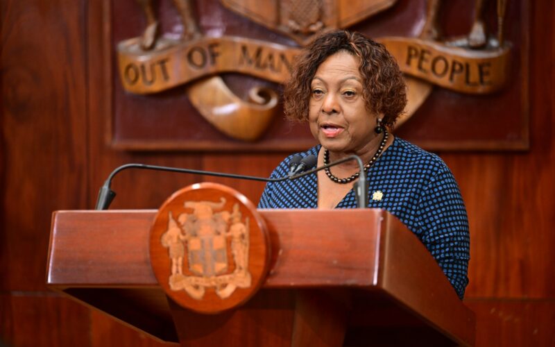 Government launches National Registry of Volunteers to provide coordinated support for those affected by Hurricane Melissa