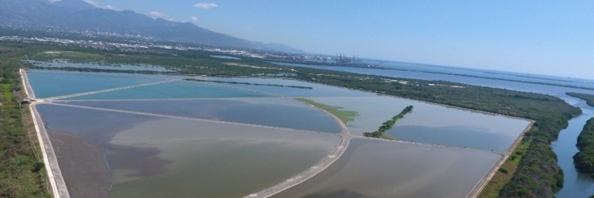 Government to go to market this year to divest Soapberry Waste Water Treatment Plant in St. Catherine – Samuda