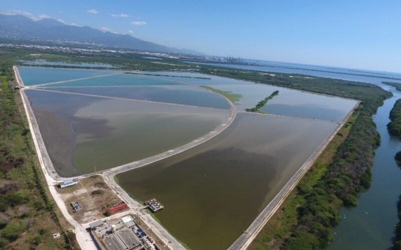 Government to go to market this year to divest Soapberry Waste Water Treatment Plant in St. Catherine – Samuda