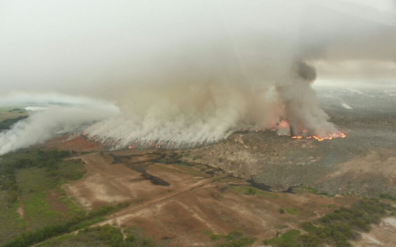 JET says Jamaica experienced both environmental progress and setbacks in 2024