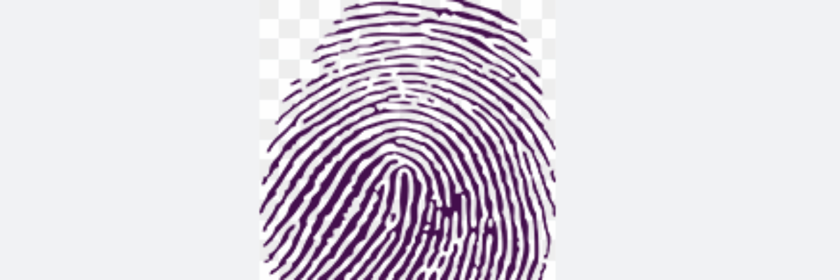 More than 45,000 special services electors across the island to vote on August 29