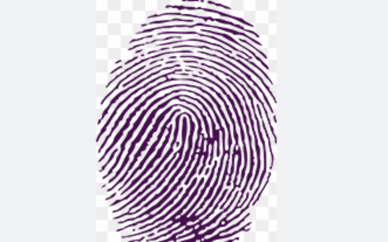 More than 45,000 special services electors across the island to vote on August 29