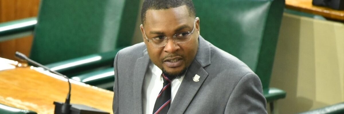 Works Minister notes concern about inequity in provision of space in urban areas for vulnerable Jamaicans to live