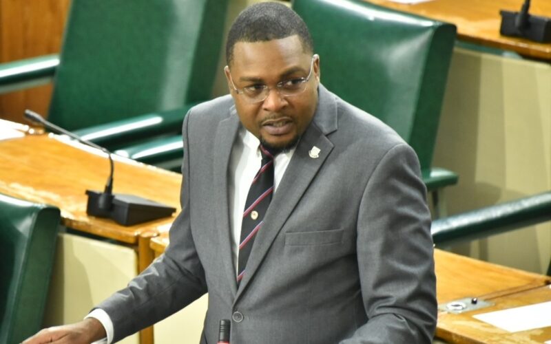 Works Minister notes concern about inequity in provision of space in urban areas for vulnerable Jamaicans to live