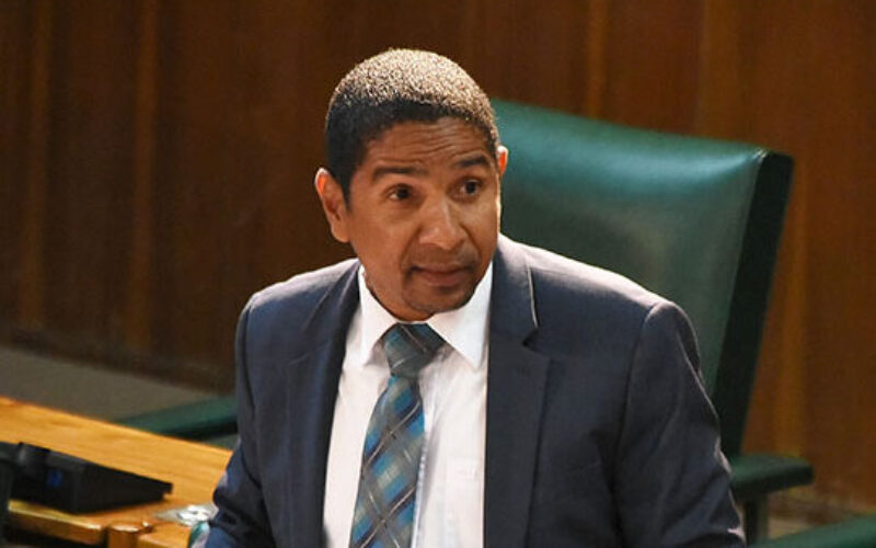 State Minister for Local Government Delroy Williams says violence against children is a complex problem and cannot be solved by any one organisation