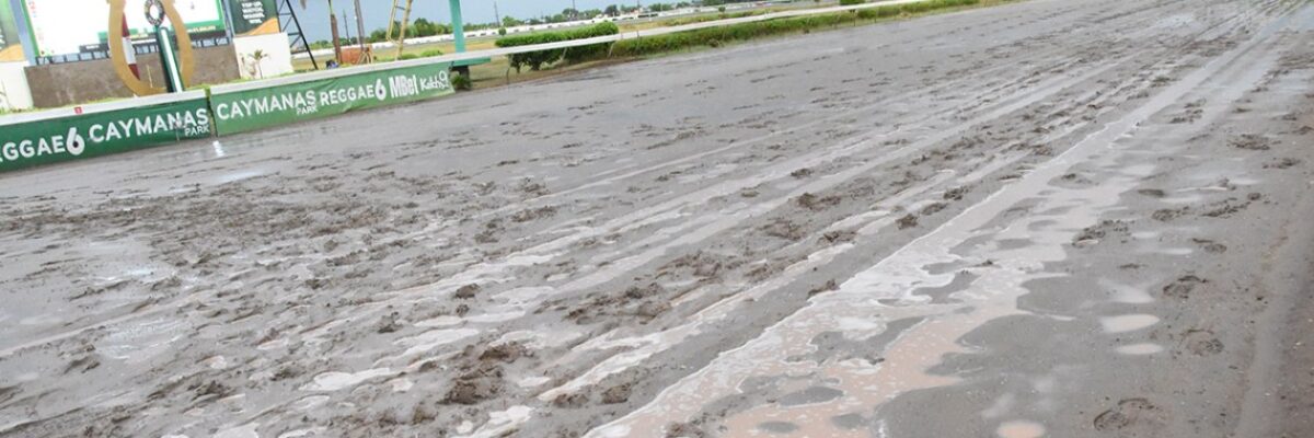 Racing at Caymanas Park suspended following the aftermath of Hurricane Melissa