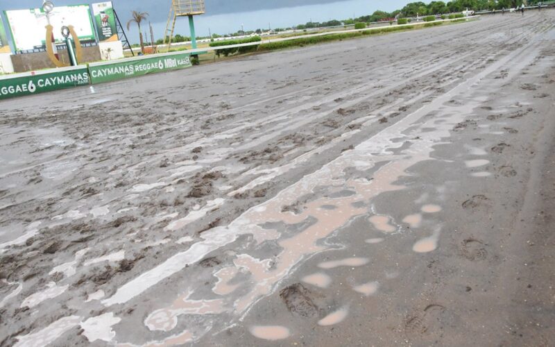 Racing at Caymanas Park suspended following the aftermath of Hurricane Melissa
