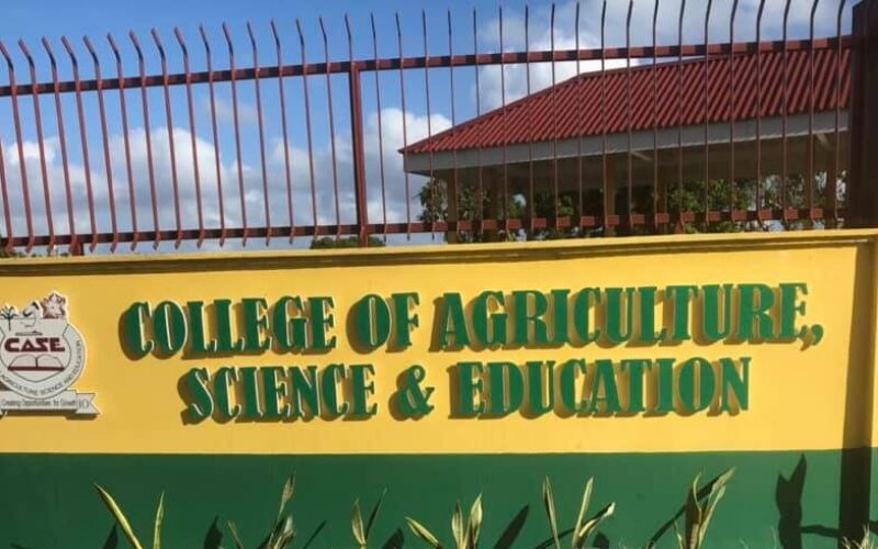 Students of CASE in Portland stage protest following reports of alleged rape of female student