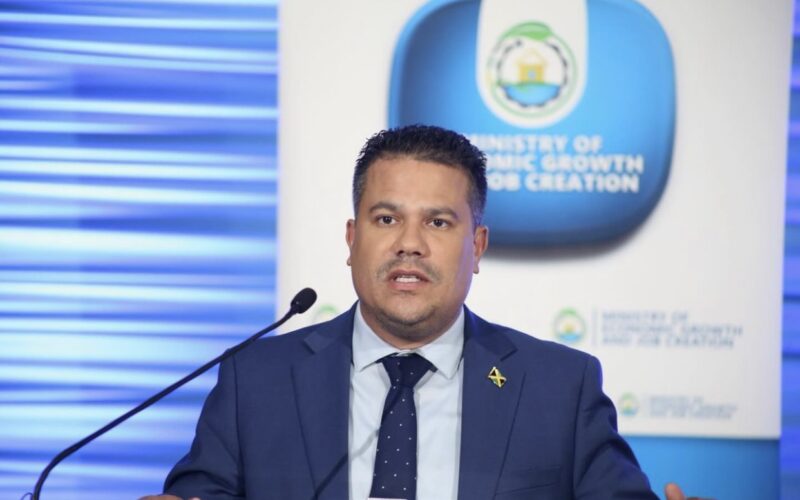 Water Minister Matthew Samuda says it would cost approximately $5B USD to make Jamaica’s water infrastructure resilient by 2030