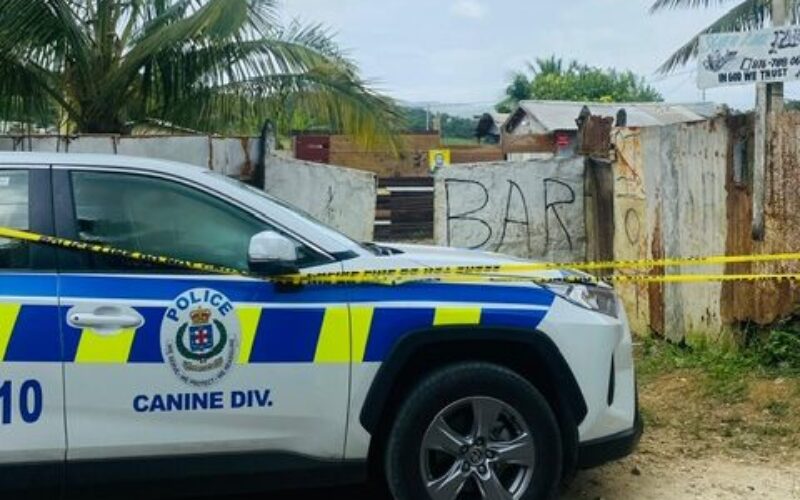 St. Ann father in police custody following stabbing death of two young children in Moneague