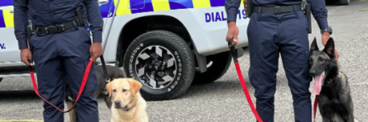 “Dog Detective”—Police dog helps lawmen make significant breakthrough in Catherine Hall murder