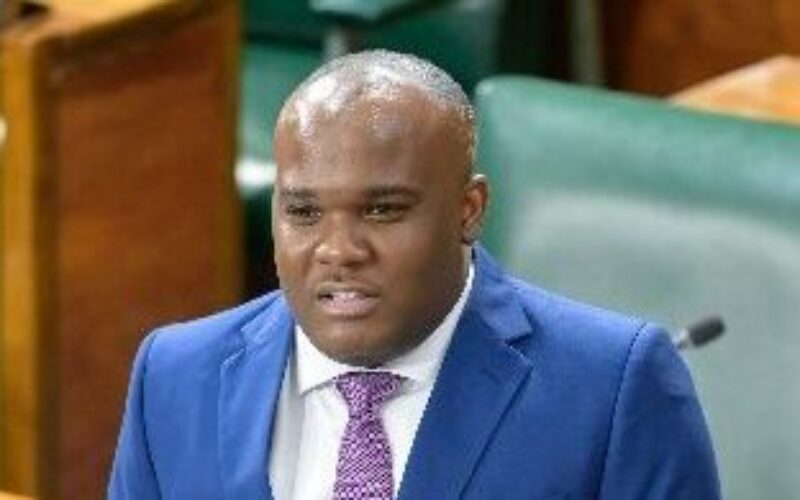 Gov’t welcomes 24% decline in murders