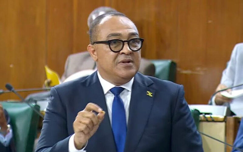 Health Ministry establishes International Recruitment Unit to help fill shortages in specialised areas
