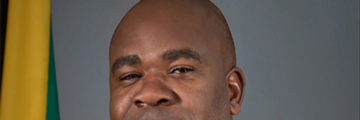 South West St. Ann MP Zavia Mayne says new Alexandria Market will revive economic activity in area