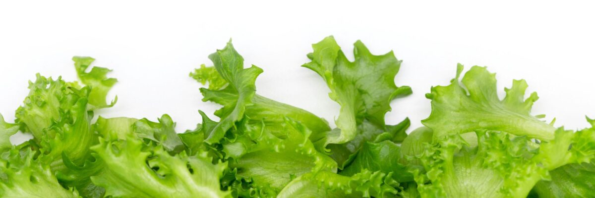 Agriculture Ministry strengthens monitoring of imported produce amid a cyclosporiasis outbreak in the US