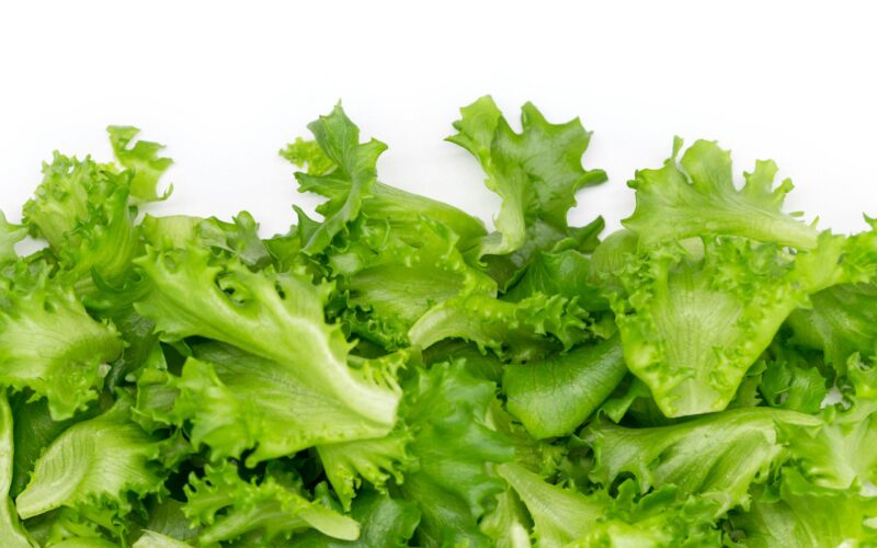 Agriculture Ministry strengthens monitoring of imported produce amid a cyclosporiasis outbreak in the US