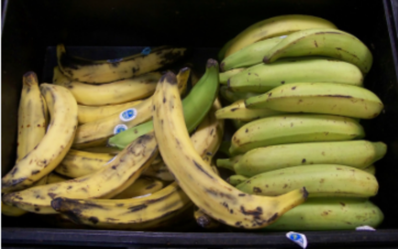 100 million dollar recovery programme implemented by Banana Board and RADA to revive the banana and plantain sector