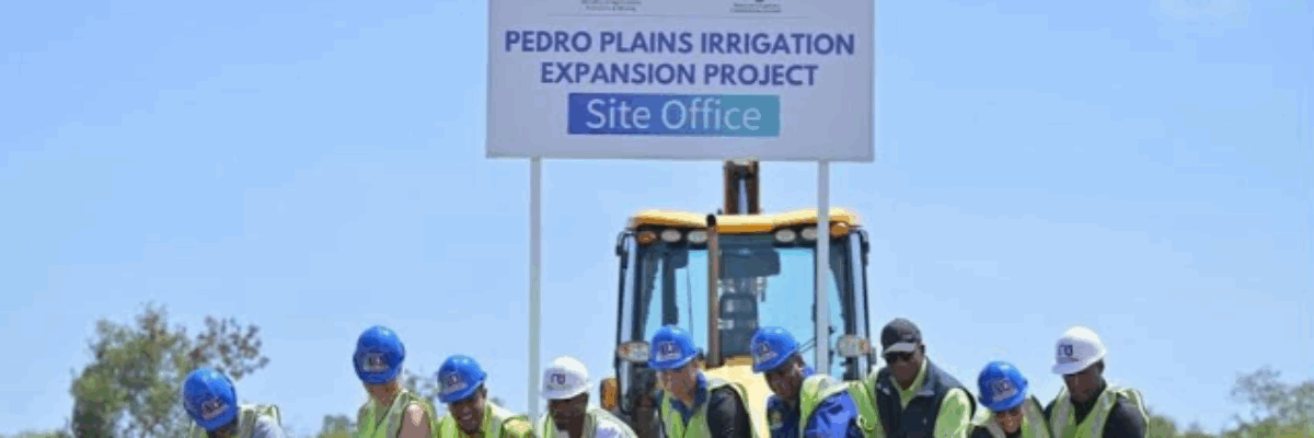 4,000 St. Elizabeth farmers to benefit from Pedro Plains Irrigation Expansion Project