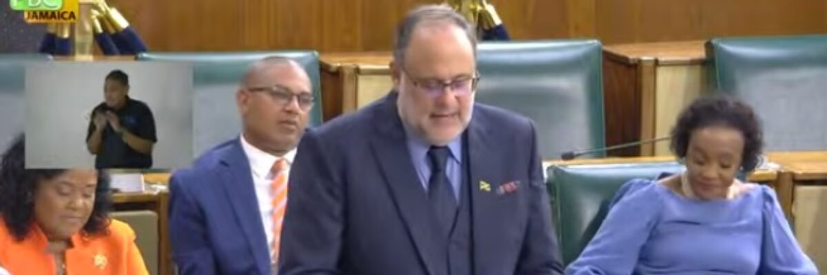 PNP files law suit against Portmore parish status bill