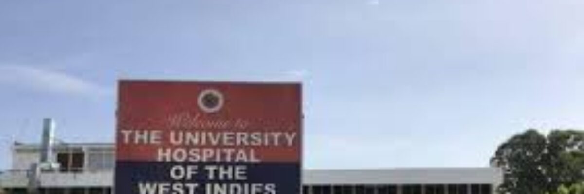 UHWI Institutional Review Committee recommends that an independent third party be engaged to support enhanced board oversight