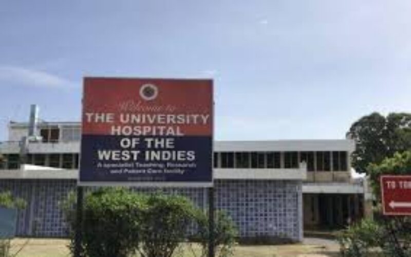 UHWI Institutional Review Committee recommends that an independent third party be engaged to support enhanced board oversight