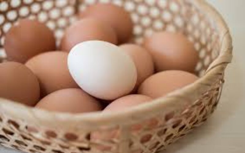 Agriculture ministry assures that it continues to seek removal of GCT on eggs