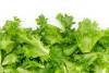 Agriculture Ministry strengthens monitoring of imported produce amid a cyclosporiasis outbreak in the US