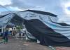 A freak storm impacted sections of Westmoreland yesterday