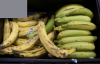 100 million dollar recovery programme implemented by Banana Board and RADA to revive the banana and plantain sector