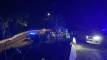 Two persons shot and killed in Mandeville last evening