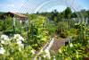 Education Ministry says school gardens play critical role in fight against childhood obesity
